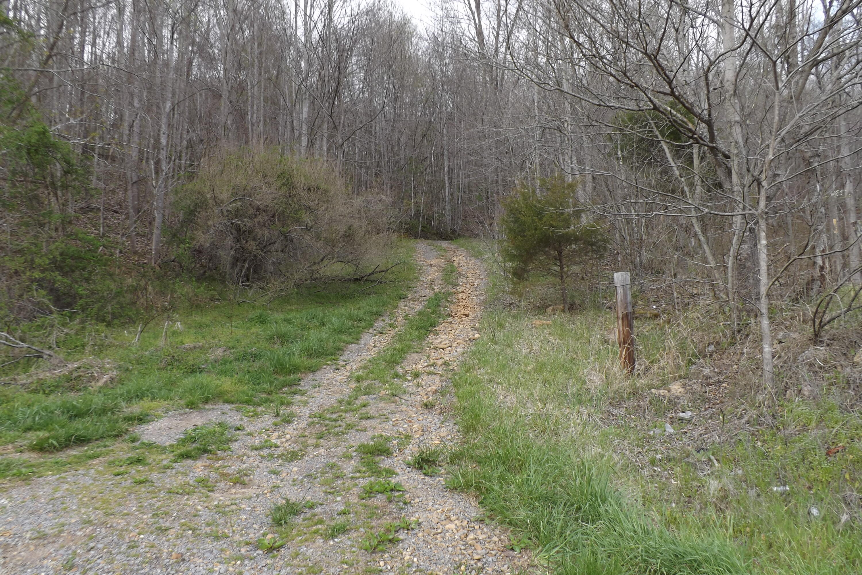 Buffalo Hollow, Castlewood, Virginia image 4