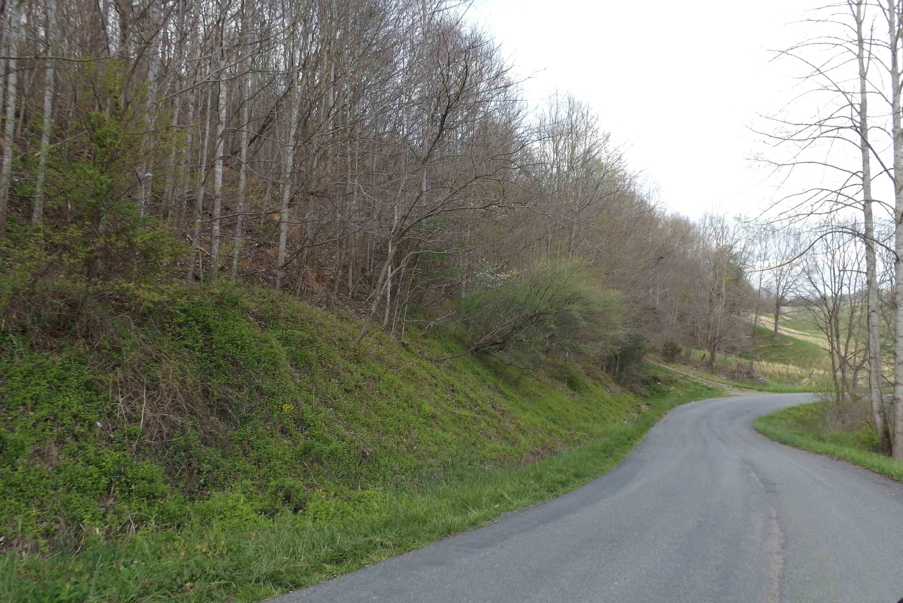 Buffalo Hollow, Castlewood, Virginia image 2