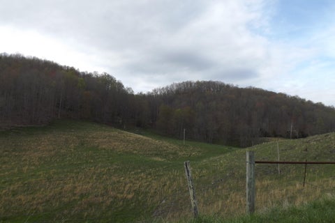 Vacant Land For Sale - Buffalo Hollow<br/> Castlewood, VA 24224
