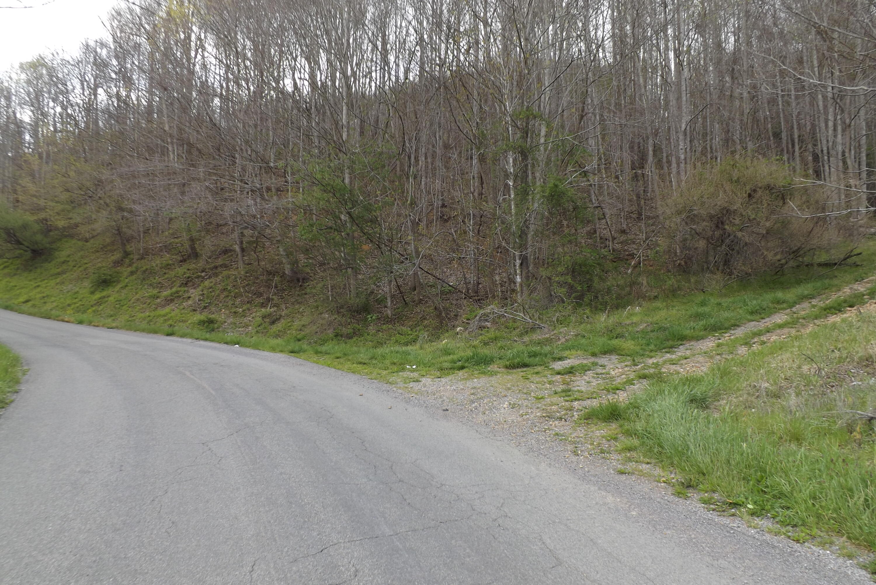 Buffalo Hollow, Castlewood, Virginia image 5