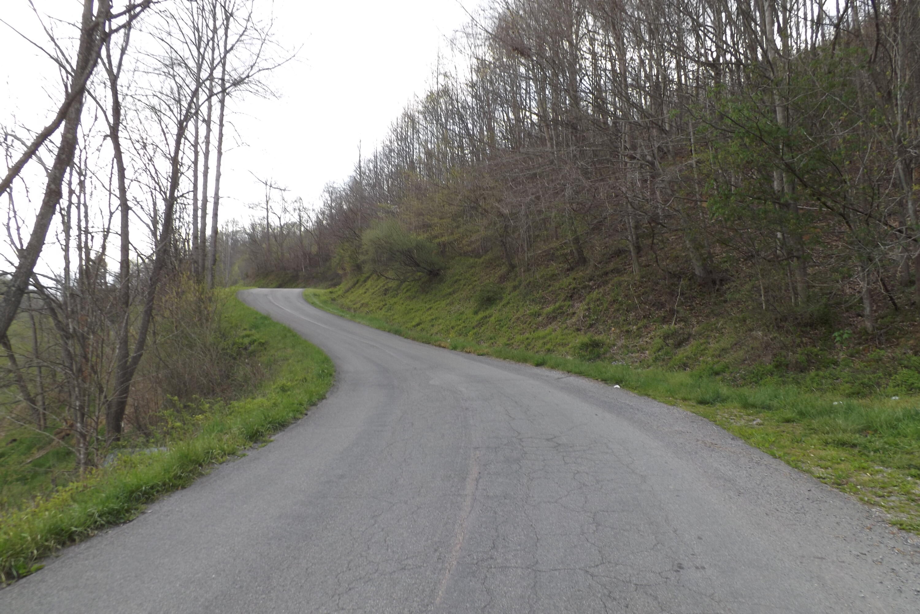 Buffalo Hollow, Castlewood, Virginia image 3