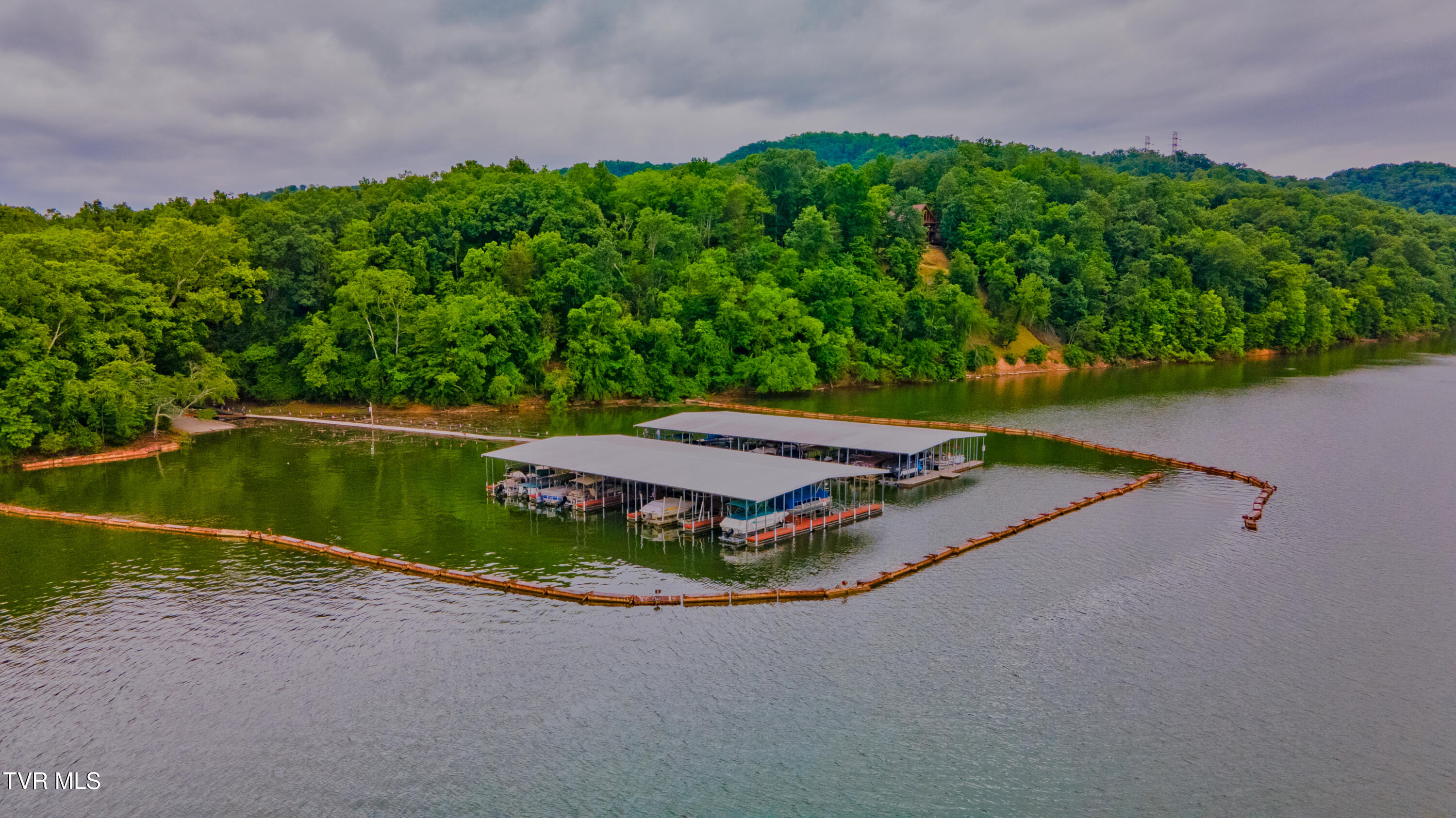 323 Chelaque Way, Mooresburg, Tennessee image 20