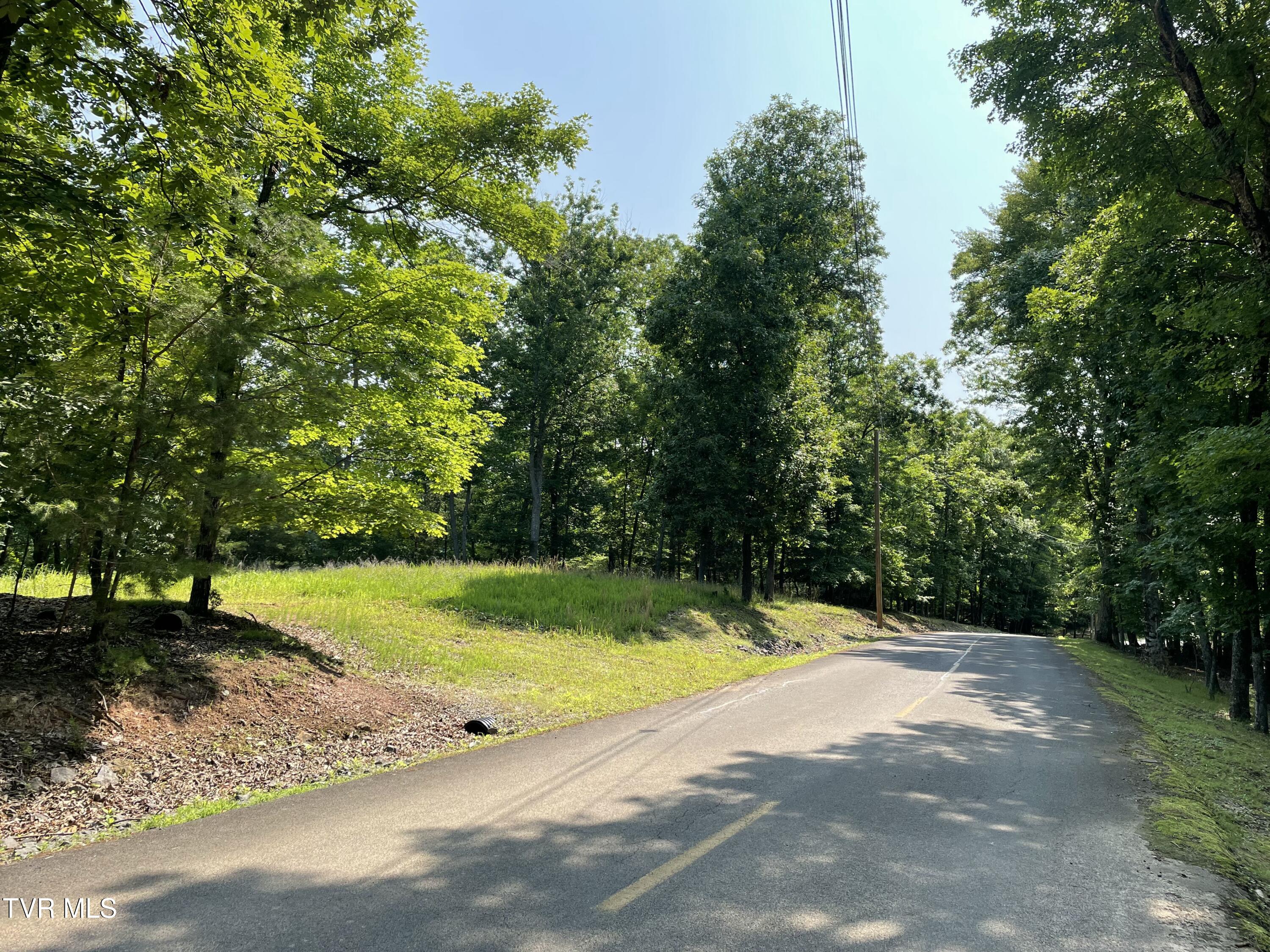 323 Chelaque Way, Mooresburg, Tennessee image 3