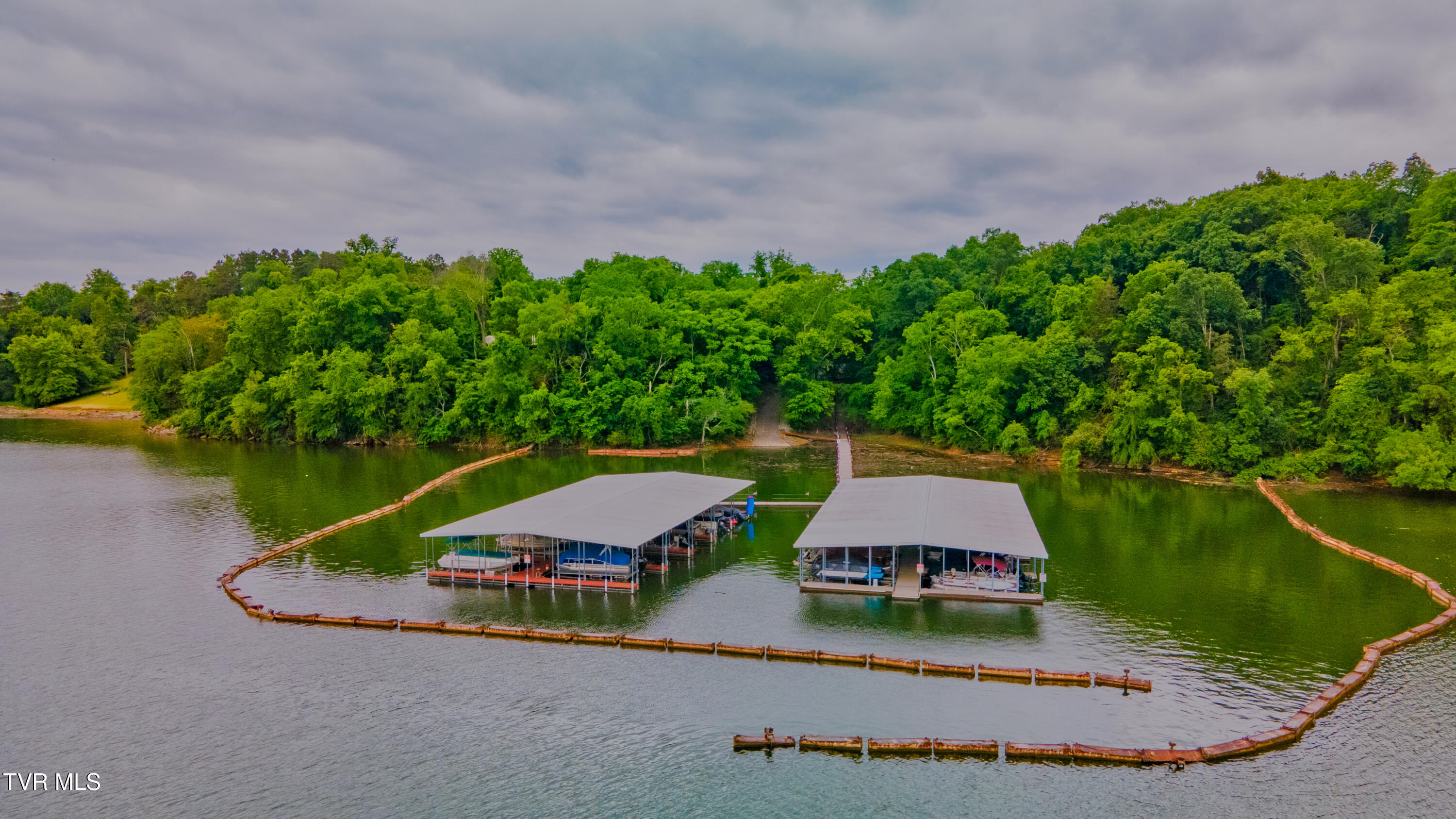 323 Chelaque Way, Mooresburg, Tennessee image 19