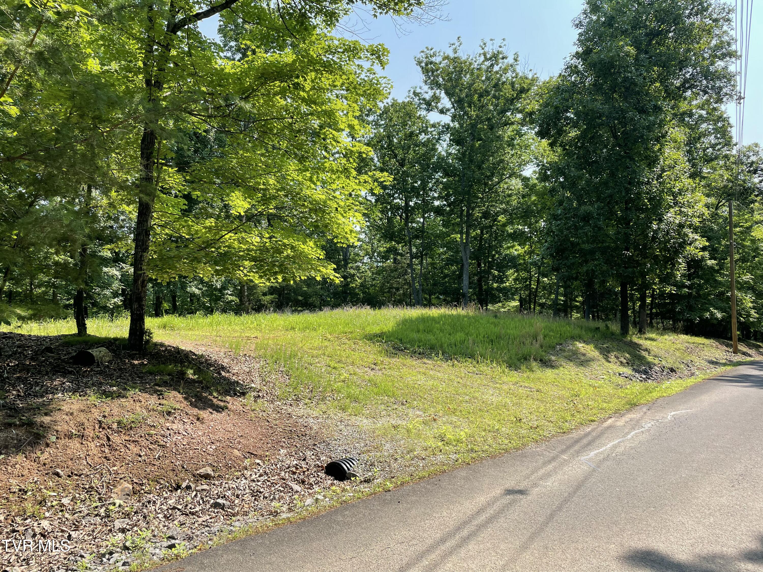 323 Chelaque Way, Mooresburg, Tennessee image 1