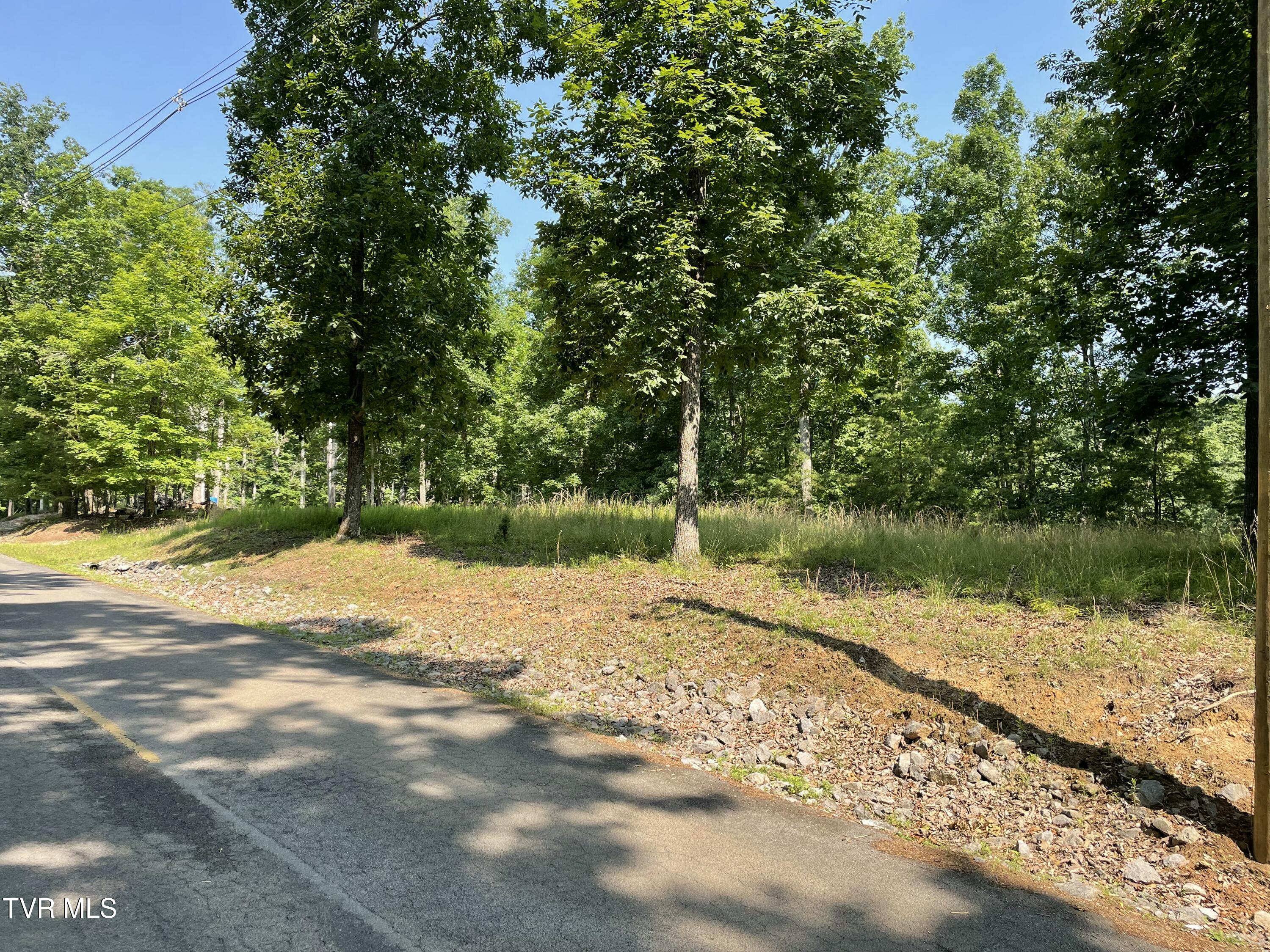 323 Chelaque Way, Mooresburg, Tennessee image 5