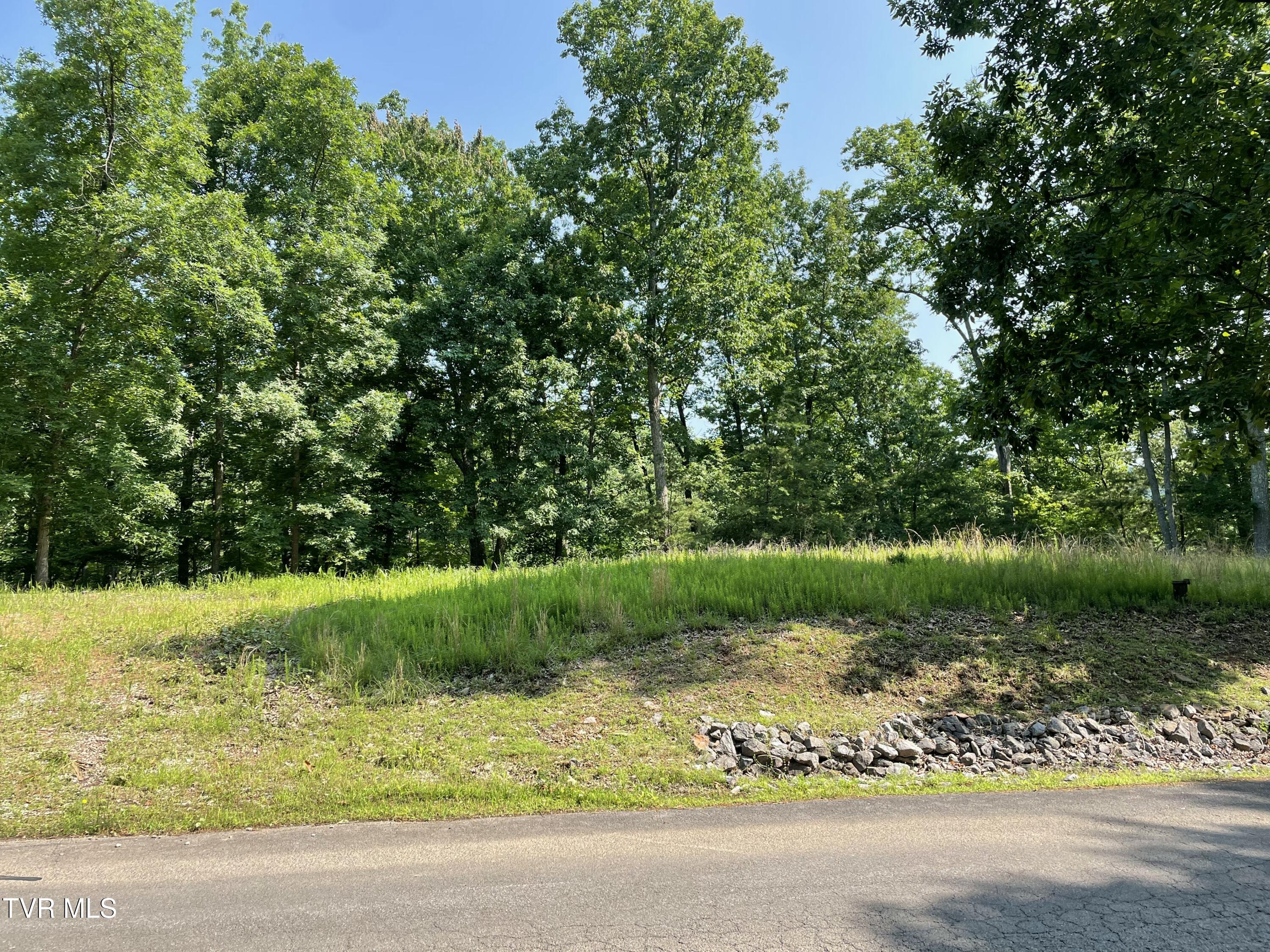 323 Chelaque Way, Mooresburg, Tennessee image 4
