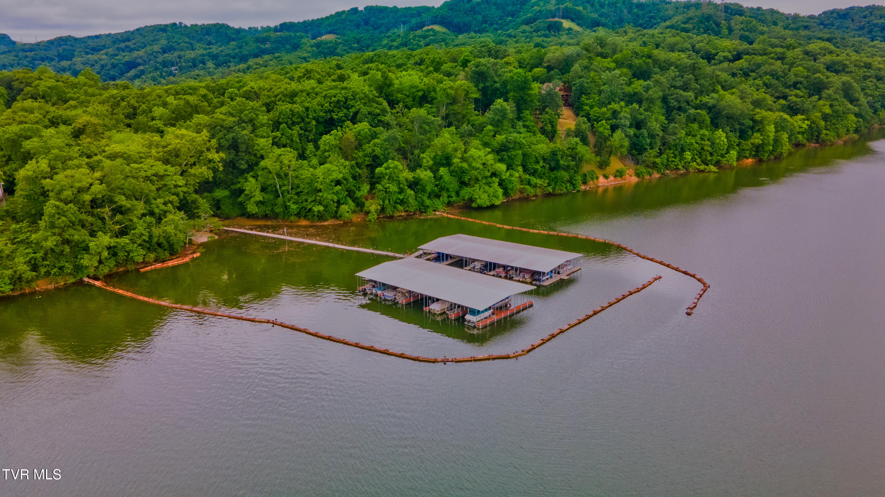 323 Chelaque Way, Mooresburg, Tennessee image 21