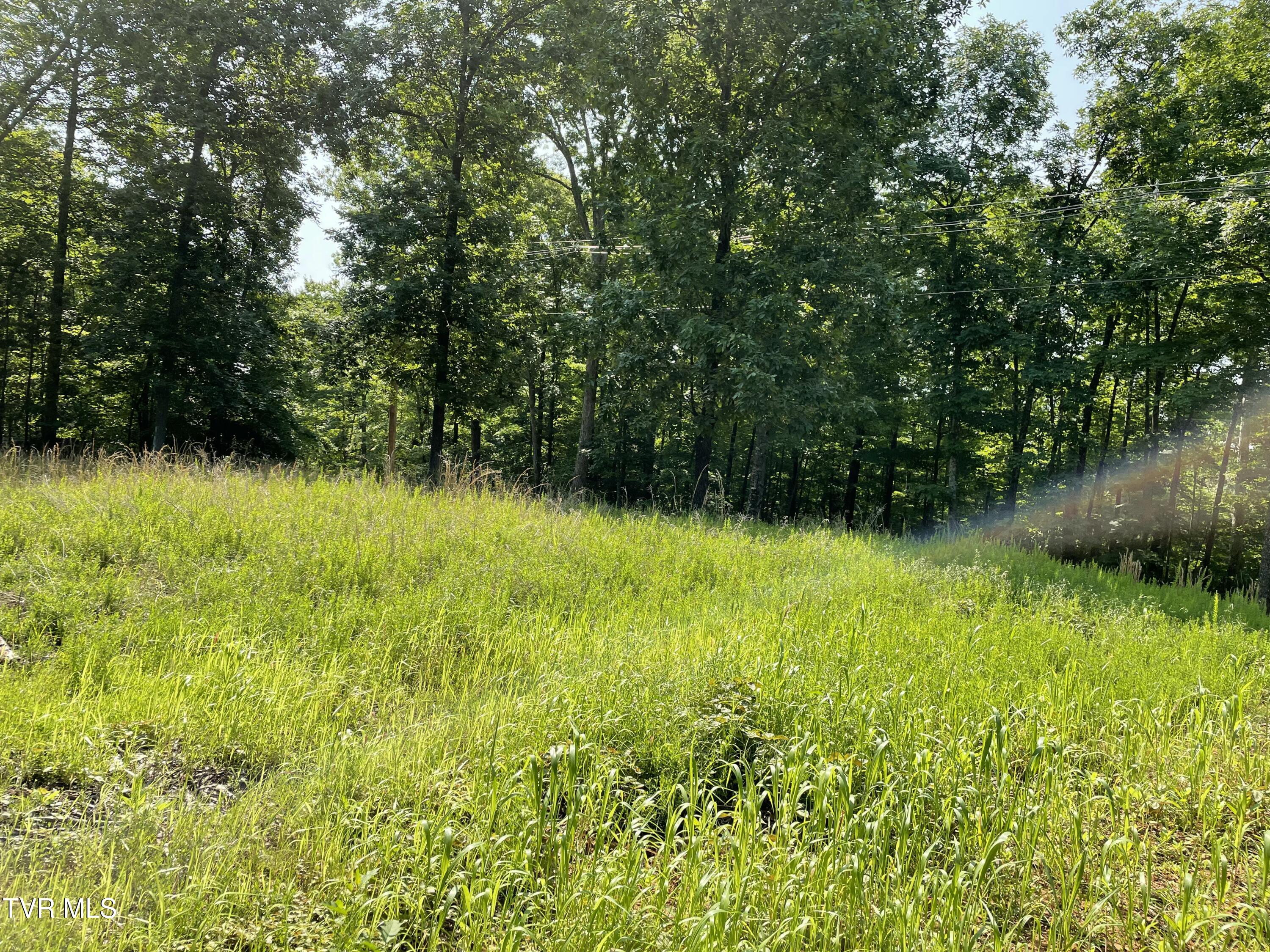 323 Chelaque Way, Mooresburg, Tennessee image 7