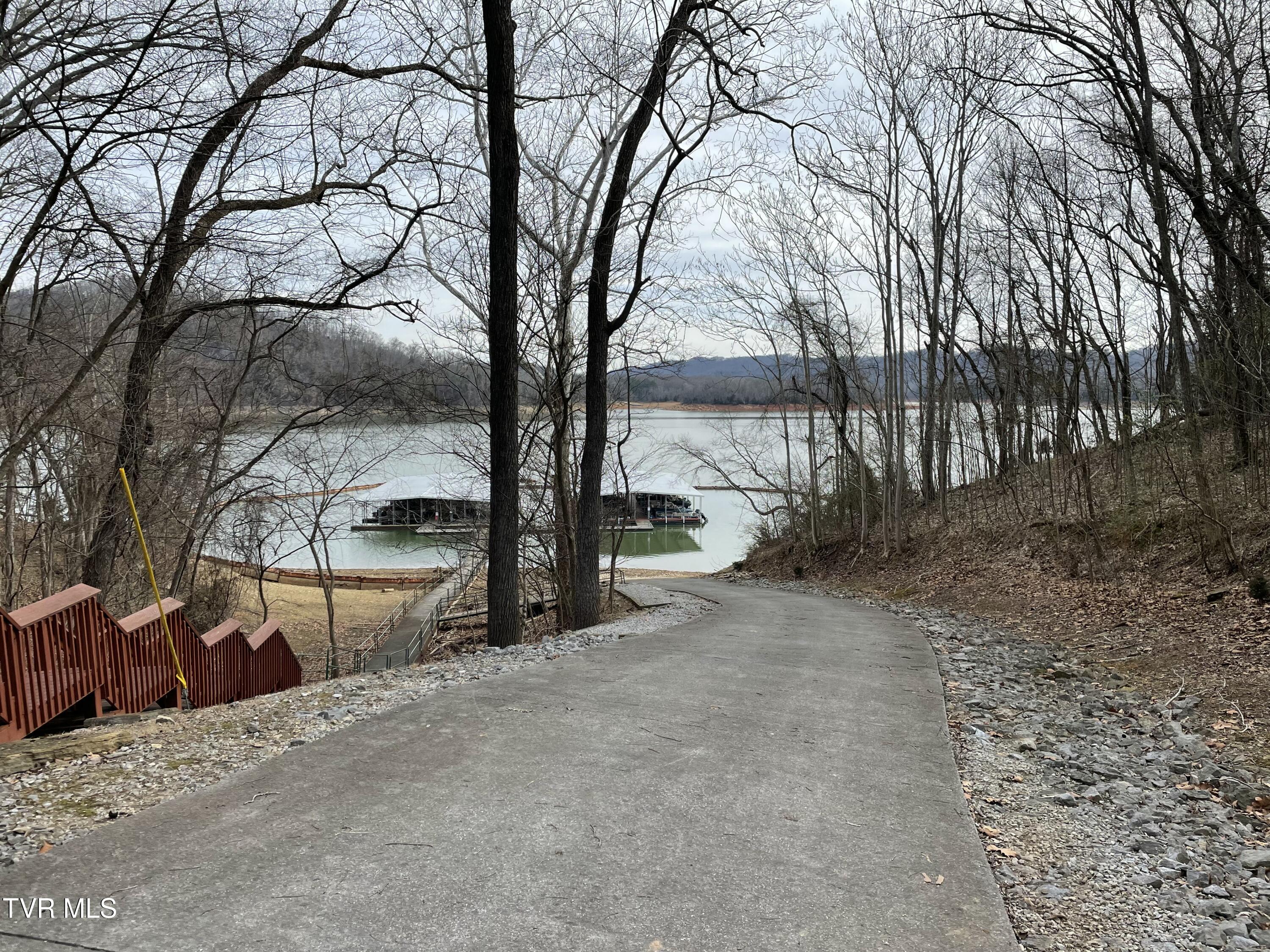 323 Chelaque Way, Mooresburg, Tennessee image 17