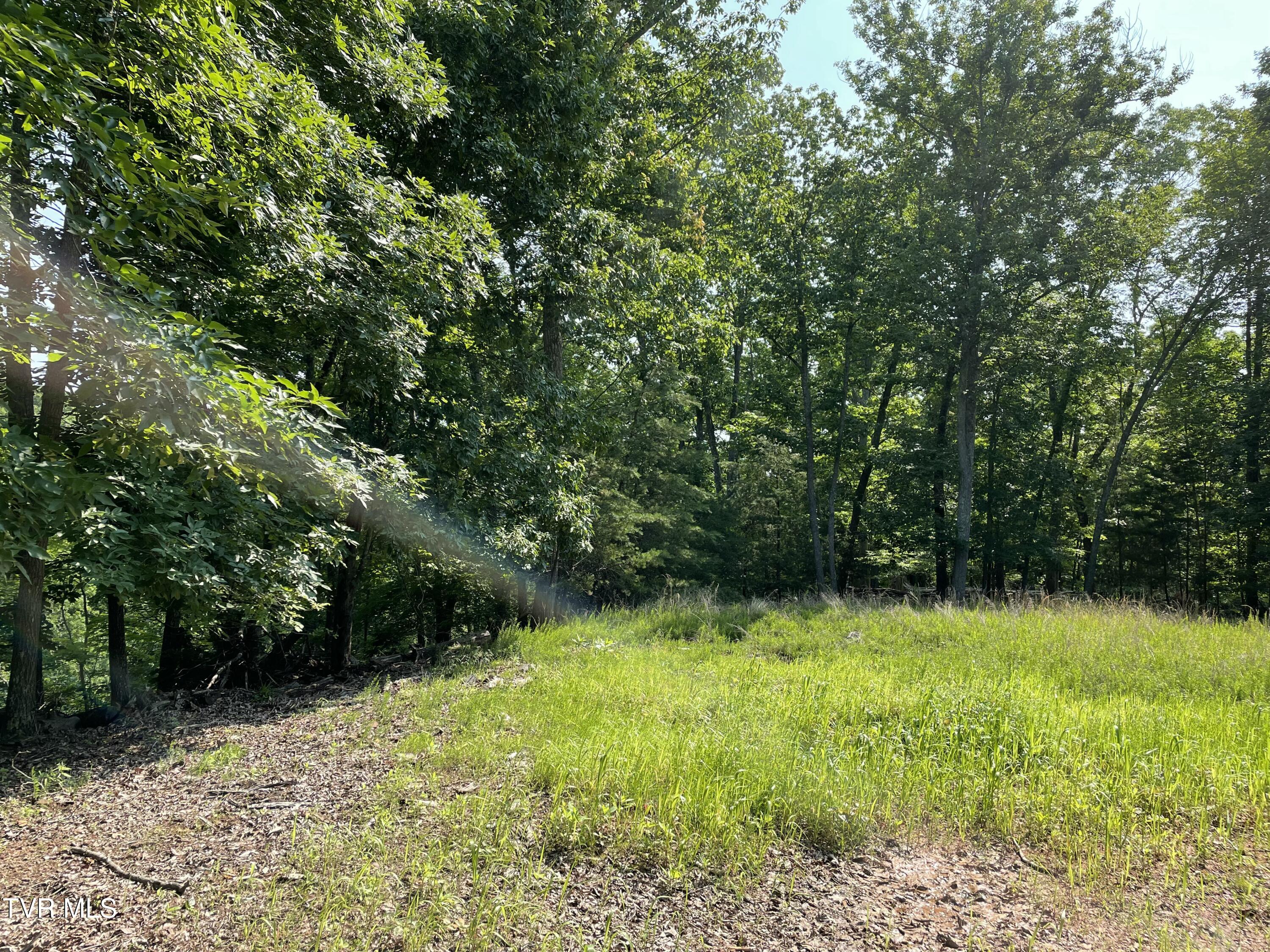 323 Chelaque Way, Mooresburg, Tennessee image 8