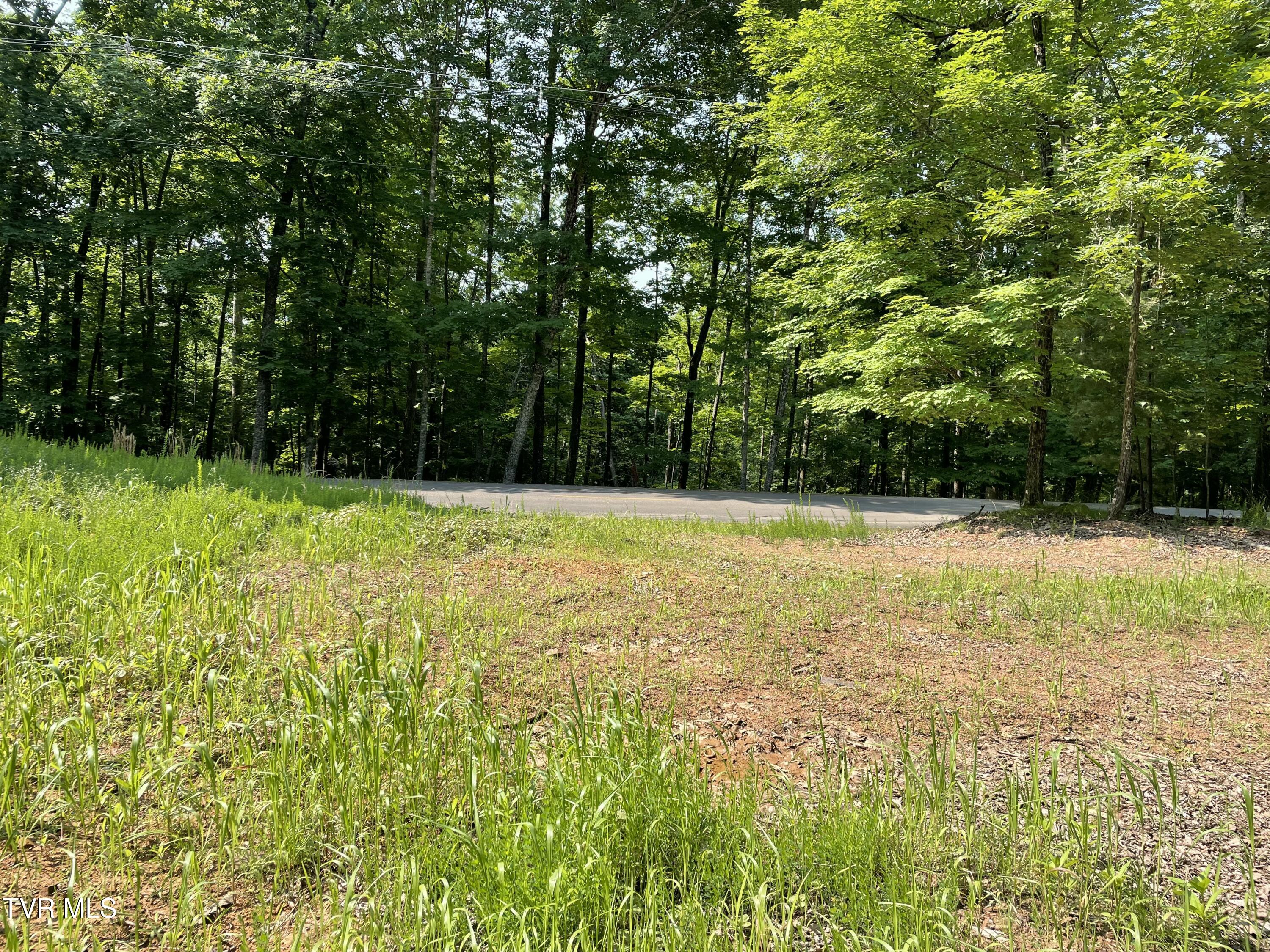 323 Chelaque Way, Mooresburg, Tennessee image 6