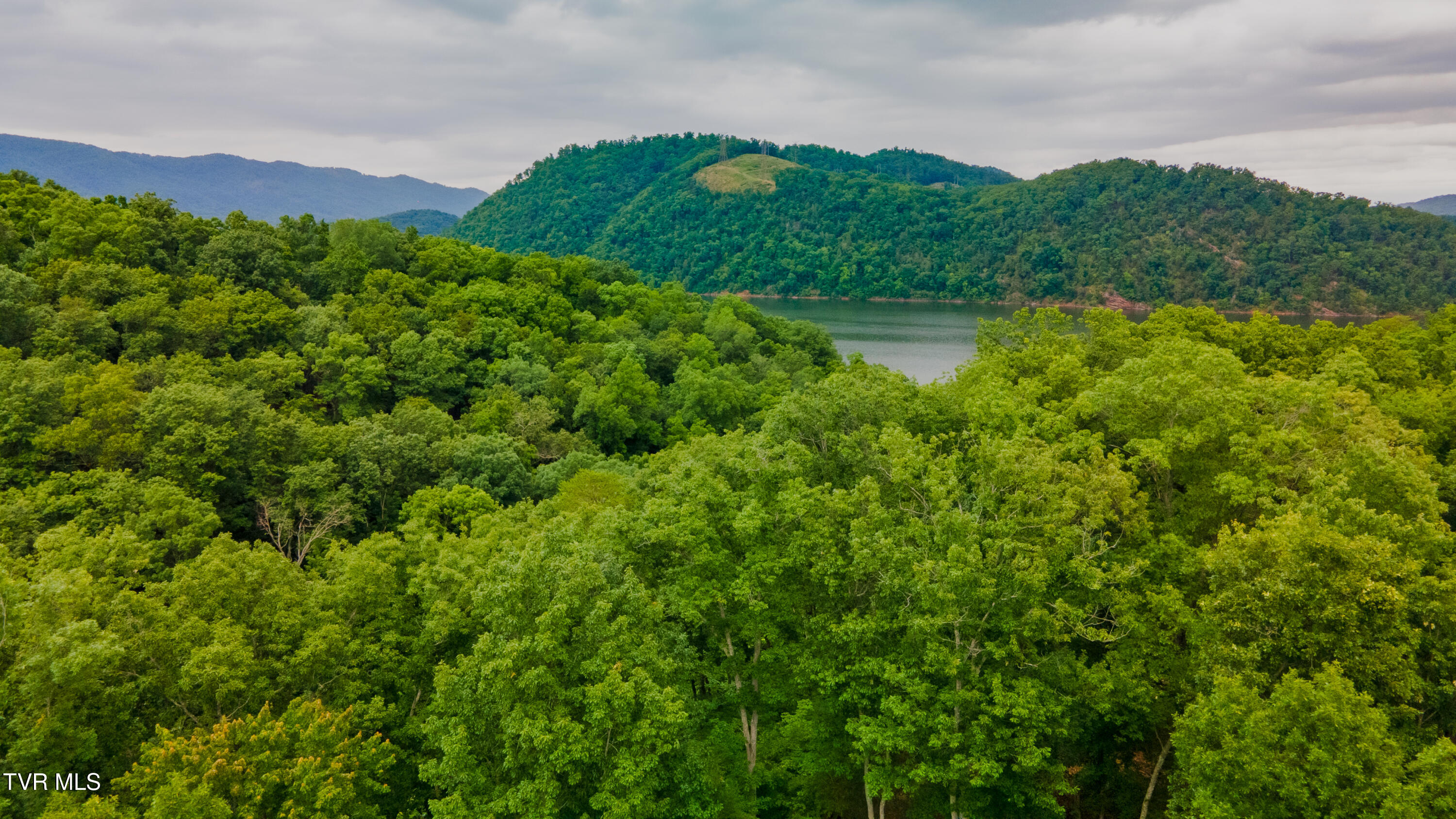 323 Chelaque Way, Mooresburg, Tennessee image 13