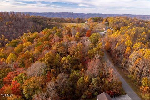 Vacant Land For Sale - TBD Airport Road Lot 6<br/> Cedar Bluff, VA 24609