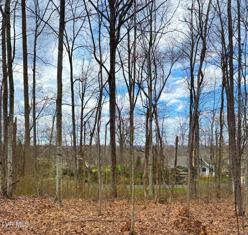 Photo of 22 Stonewall Ridge, Bristol, VA 24202 (MLS # 9996215)