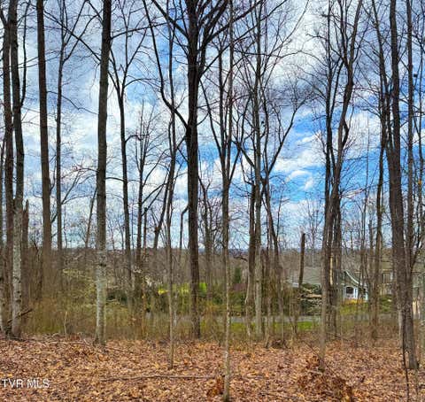 Vacant Land For Sale - LOT 22 Stonewall Ridge<br/> Bristol, VA 24202