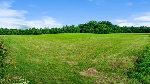 Vacant Land For Sale - 185 Lester Snapp Road #2<br/> Limestone, TN 37681