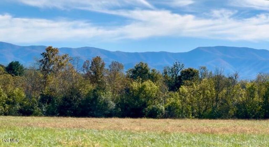 Photo of 185 Lester Snapp Road #2, Limestone, TN 37681 (MLS # 9990501)