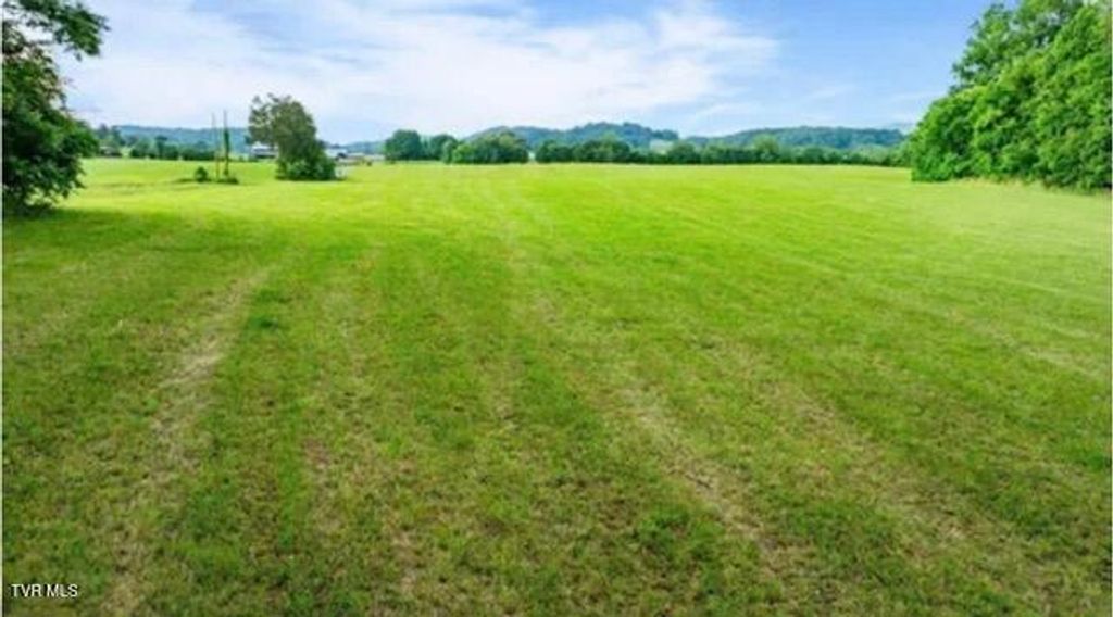 Photo of 185 Lester Snapp Road #2, Limestone, TN 37681 (MLS # 9990501)