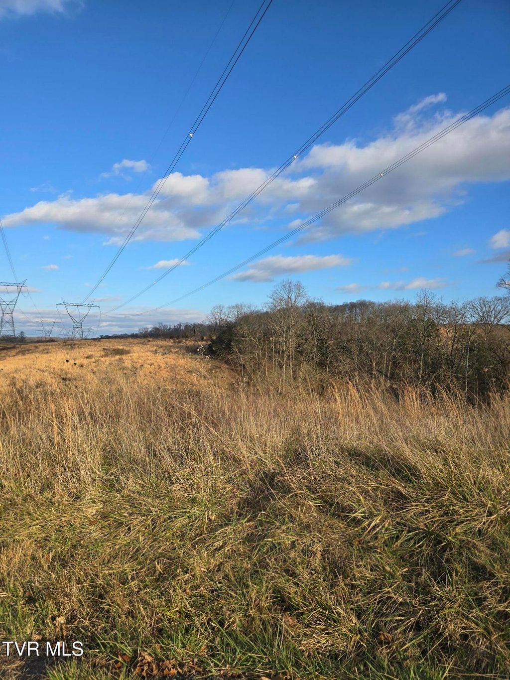 Photo of Tbd Boring Chapel Road, Johnson City, TN 37615 (MLS # 9989707)