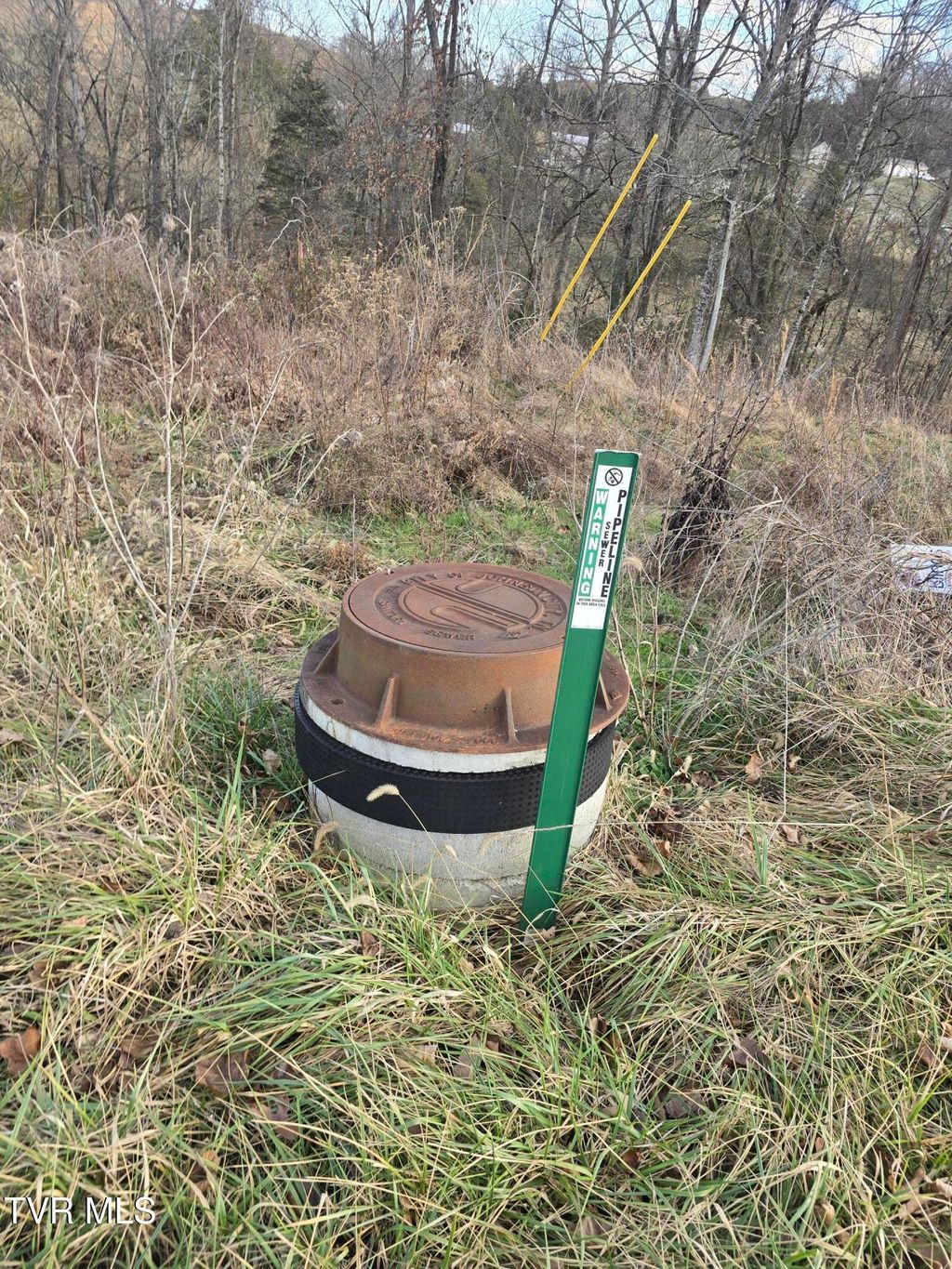 Photo of Tbd Boring Chapel Road, Johnson City, TN 37615 (MLS # 9989707)