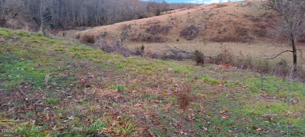 Photo of Tbd Boring Chapel Road, Johnson City, TN 37615 (MLS # 9989707)