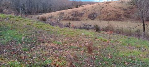 Vacant Land For Sale - TBD Boring Chapel Road<br/> Washington County County, Johnson City, TN 37615