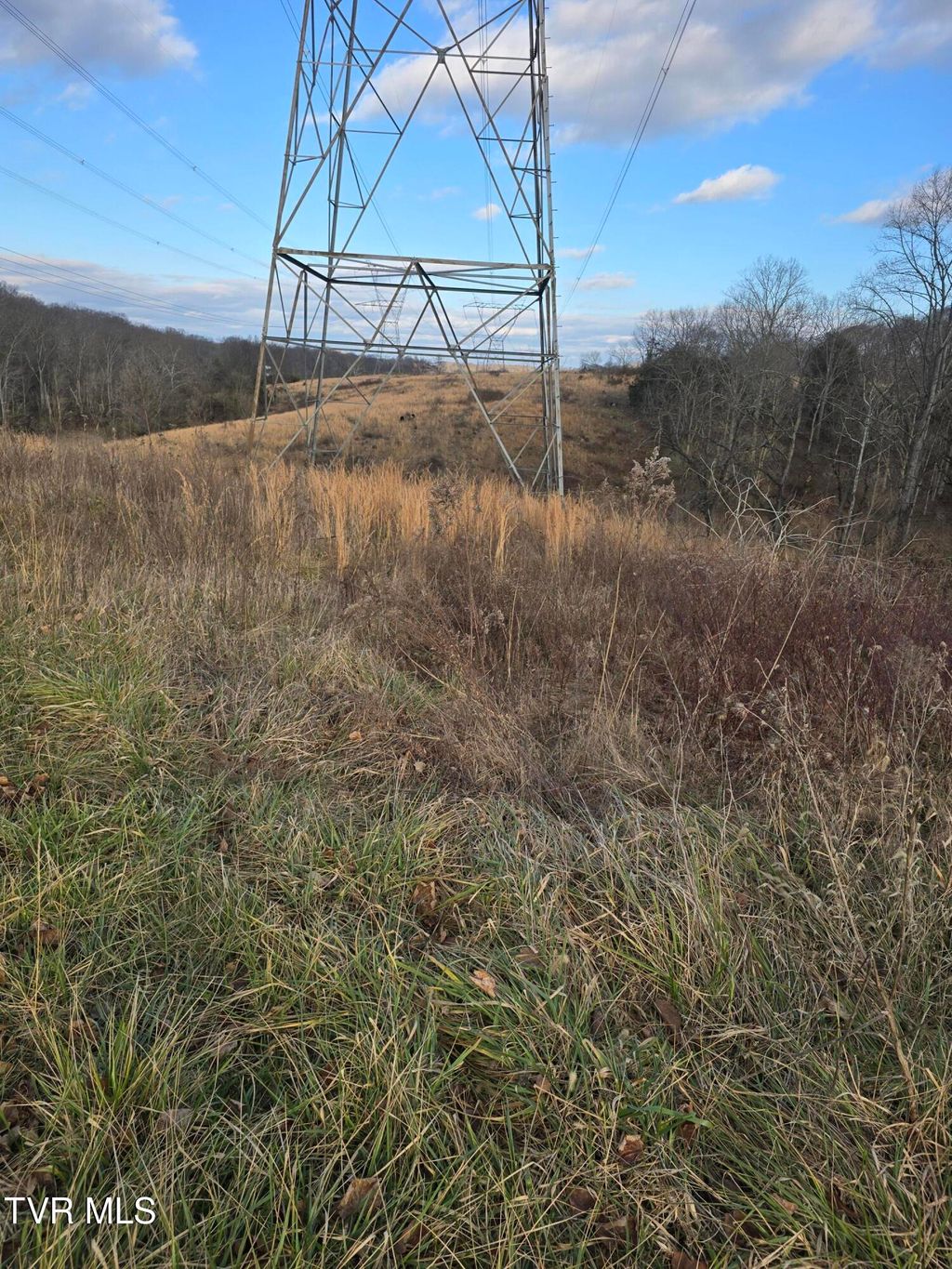 Photo of Tbd Boring Chapel Road, Johnson City, TN 37615 (MLS # 9989707)