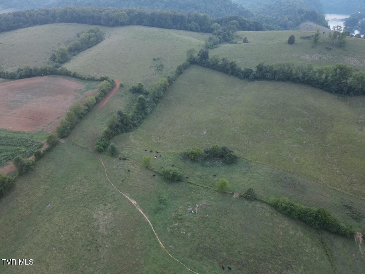 1578 Hunting Hill Road, Bluff City, Tennessee image 26