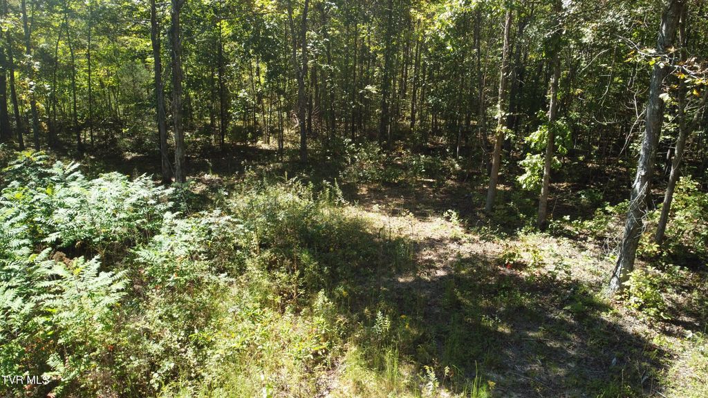 Photo of 1 McCullough Lane, Bulls Gap, TN 37711 (MLS # 9986457)