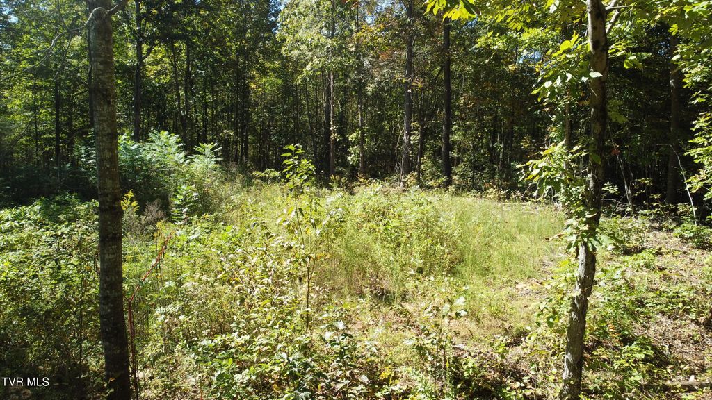 Photo of 1 McCullough Lane, Bulls Gap, TN 37711 (MLS # 9986457)