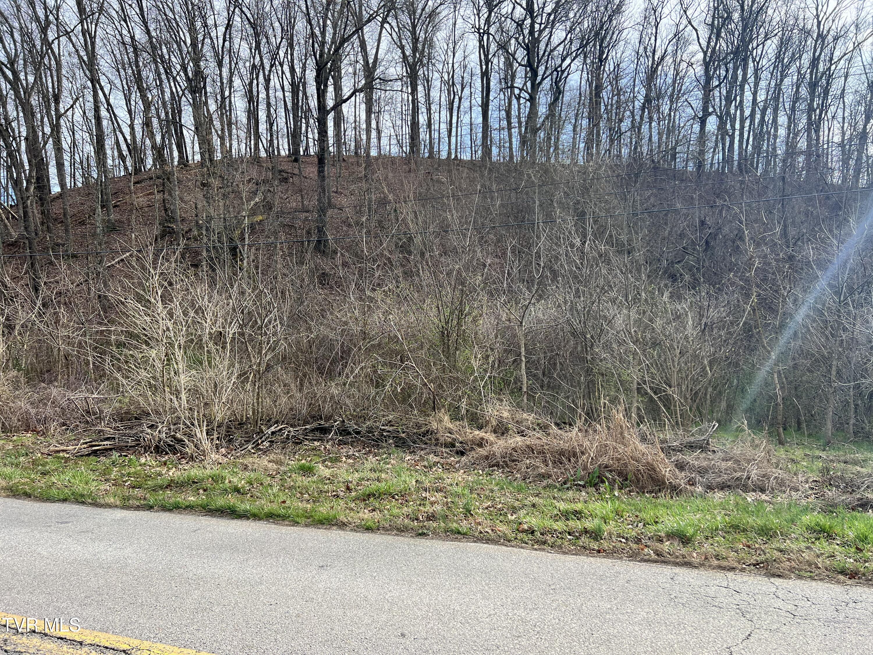 00 Old Knoxville Highway, Greeneville, Tennessee image 1