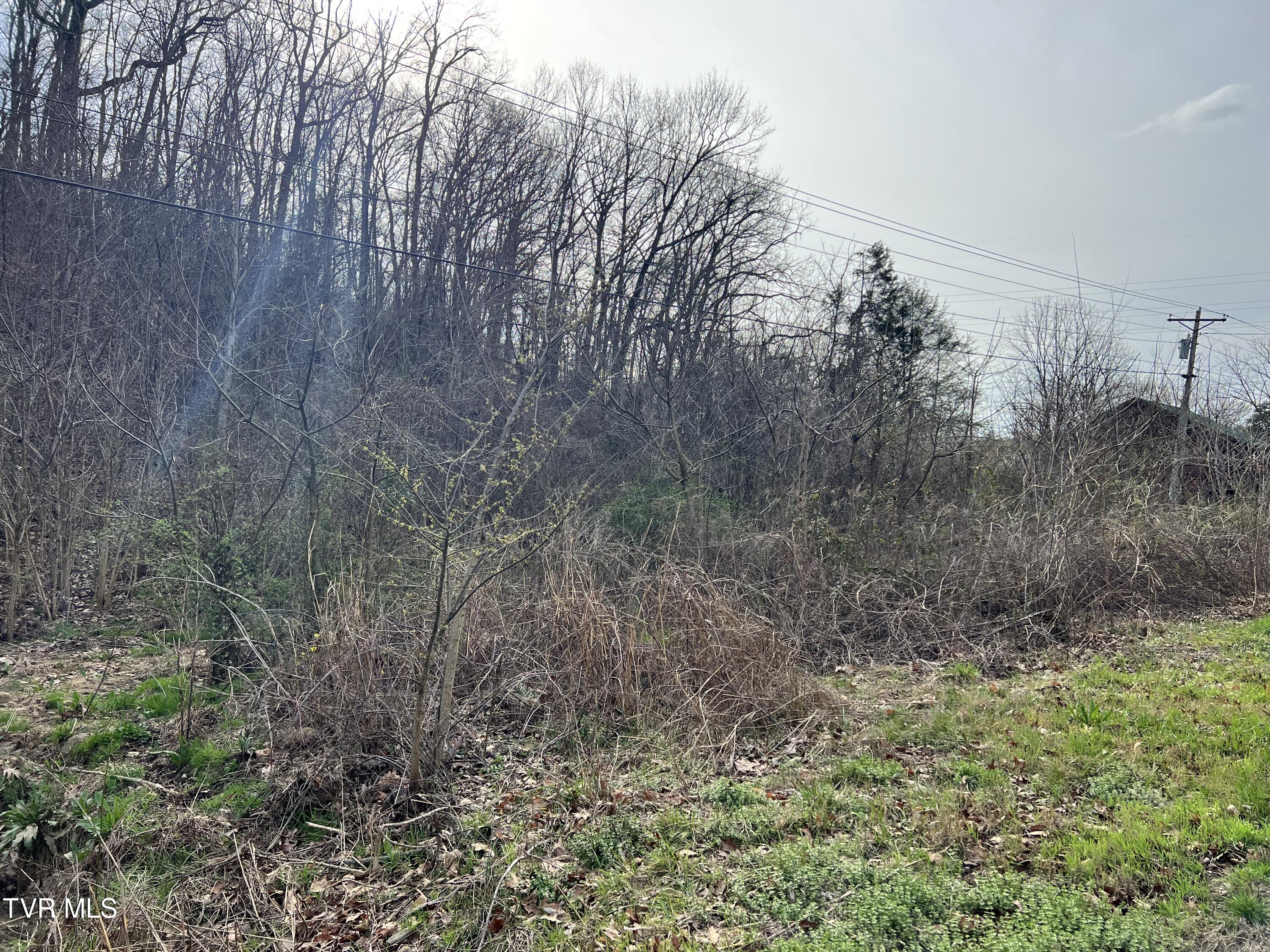 00 Old Knoxville Highway, Greeneville, Tennessee image 3