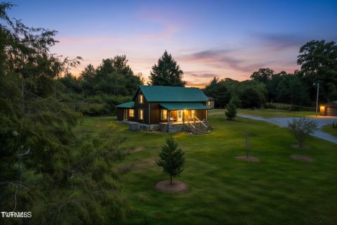 Photo of 355 Jay Fanning Road, Afton, TN 37616 (MLS # 9990395)