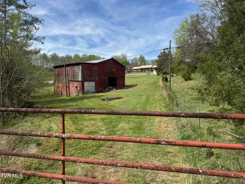 Vacant Land For Sale - 578 Telford School Road<br/> Limestone, TN 37681