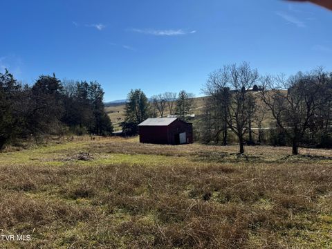 Vacant Land For Sale - 578 Telford School Road<br/> Limestone, TN 37681