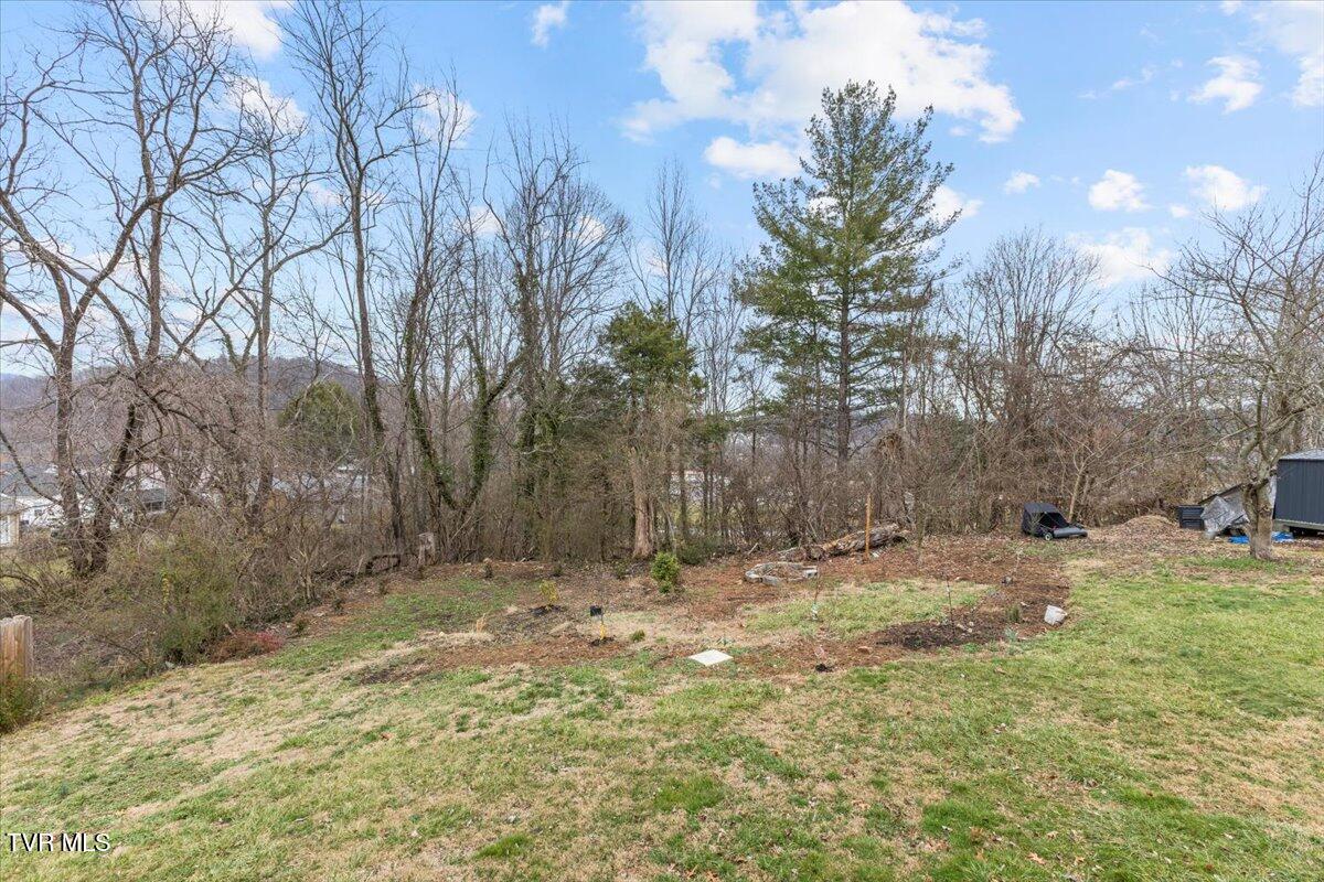 1106 Grove Street, Elizabethton, Tennessee image 29