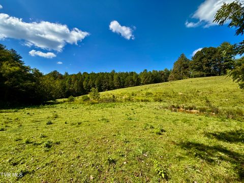 Vacant Land For Sale - 34/AC Tbd Off Big Creek Road<br/> Cocke County, Hartford, TN 37753