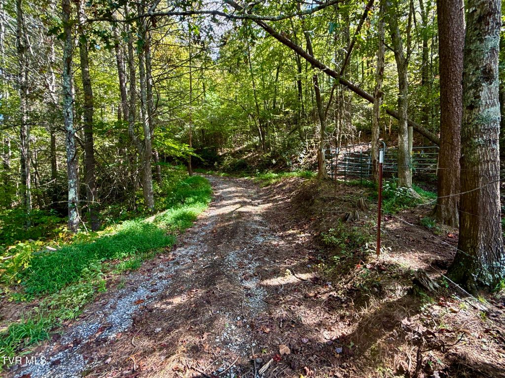 Photo of 34 Tbd Off Big Creek Road, Hartford, TN 37753 (MLS # 9989031)
