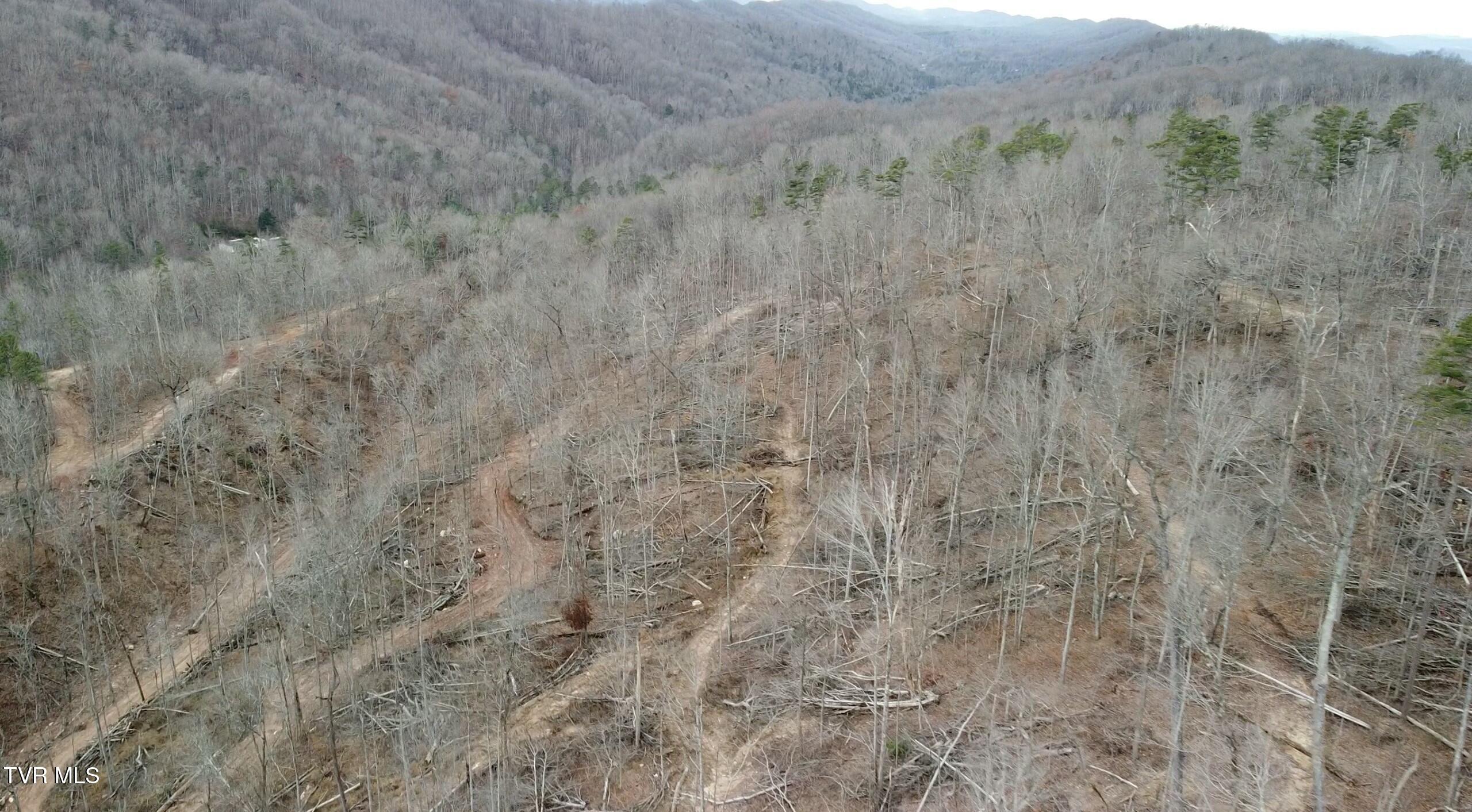 Tbd War Valley Road, Rogersville, Tennessee image 3