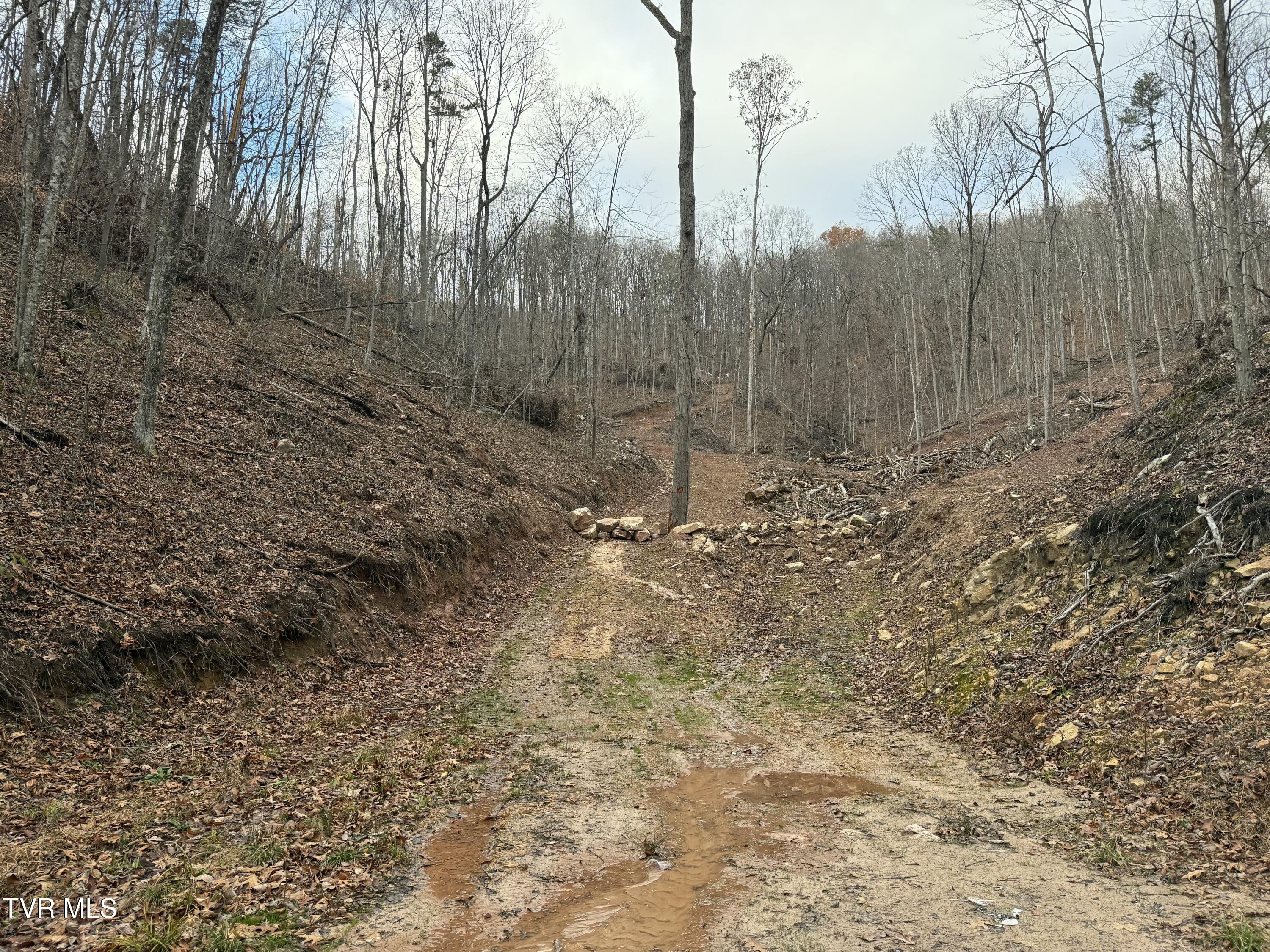 Tbd War Valley Road, Rogersville, Tennessee image 7