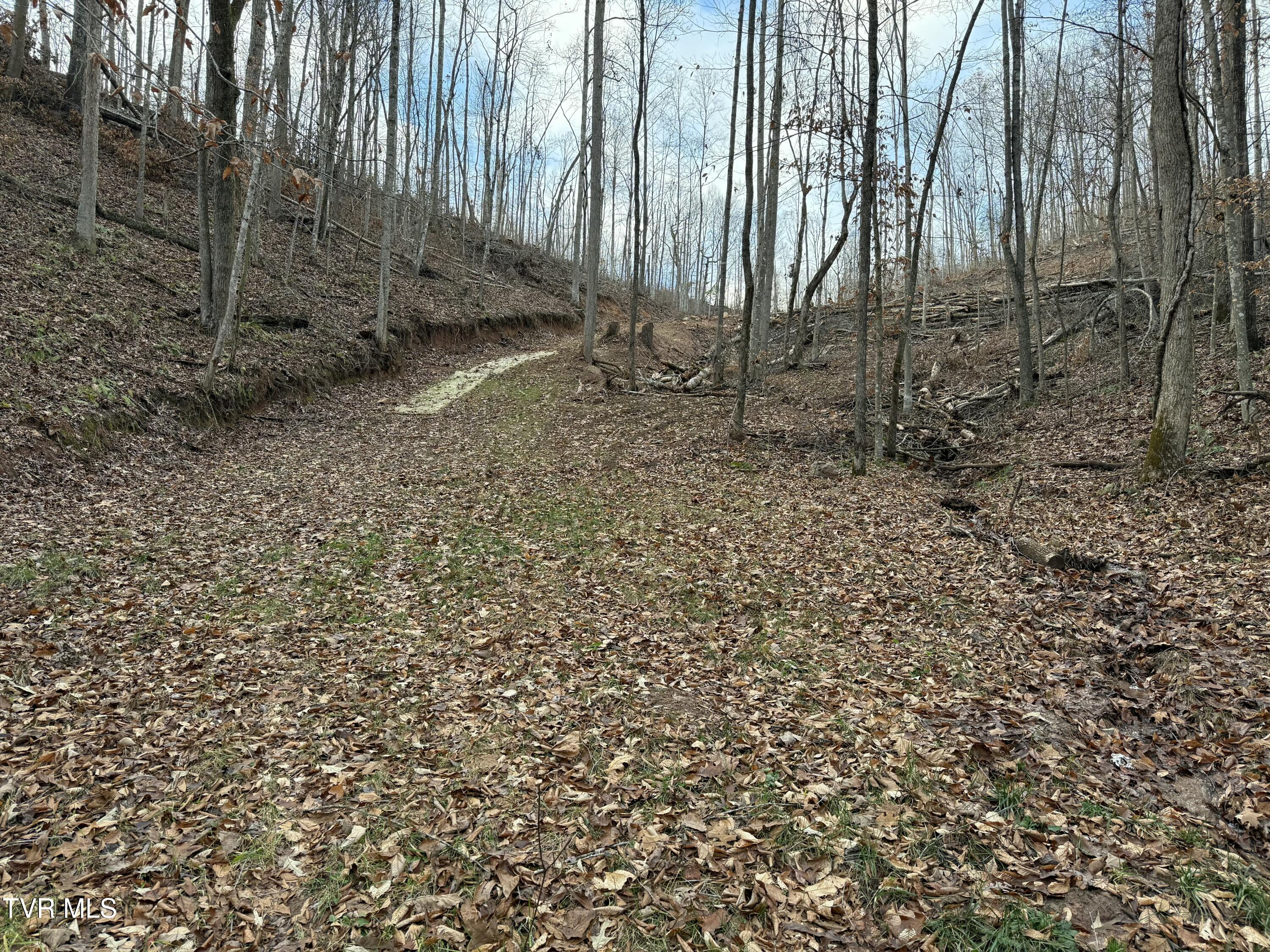 Tbd War Valley Road, Rogersville, Tennessee image 10