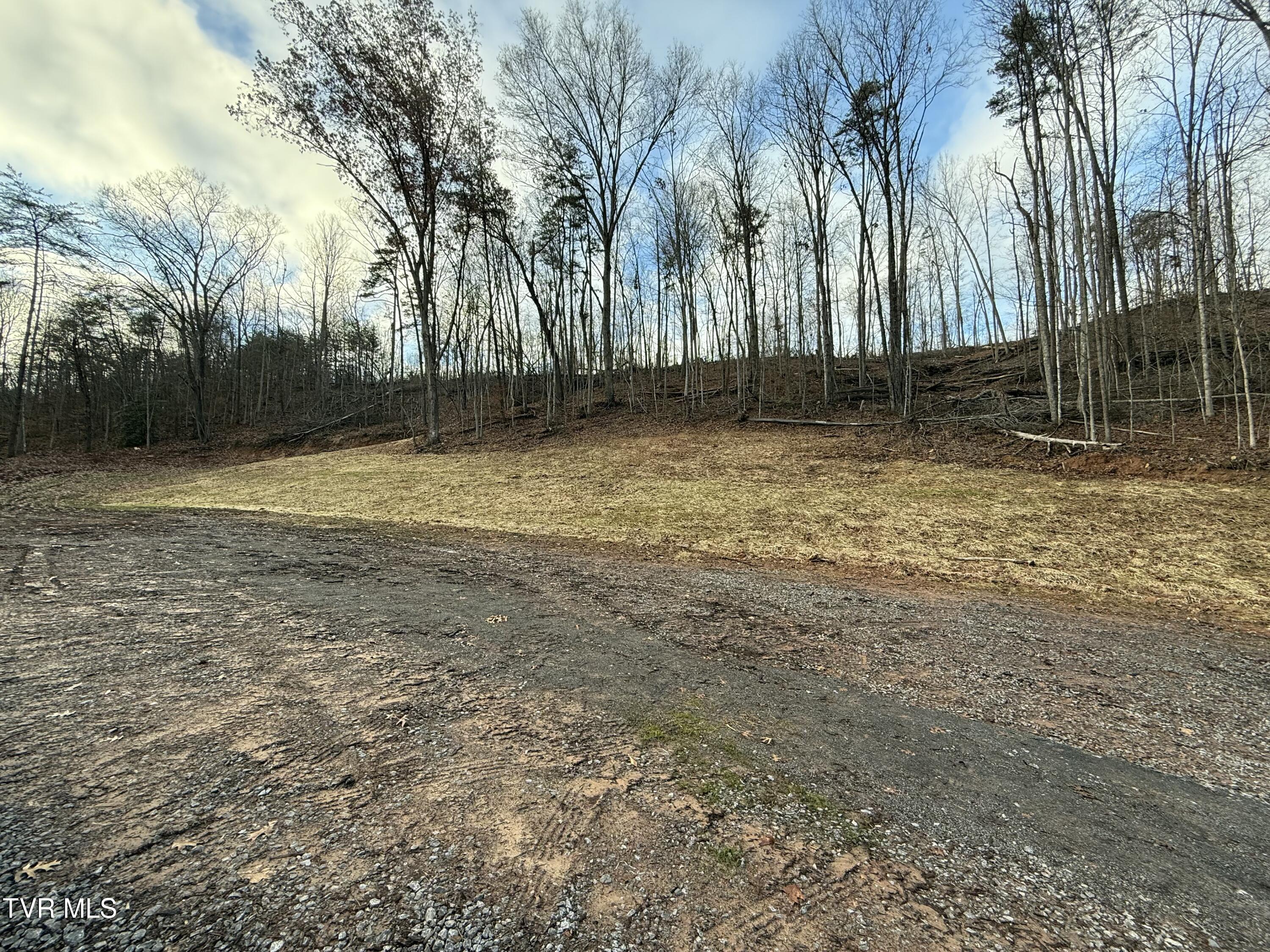 Tbd War Valley Road, Rogersville, Tennessee image 11