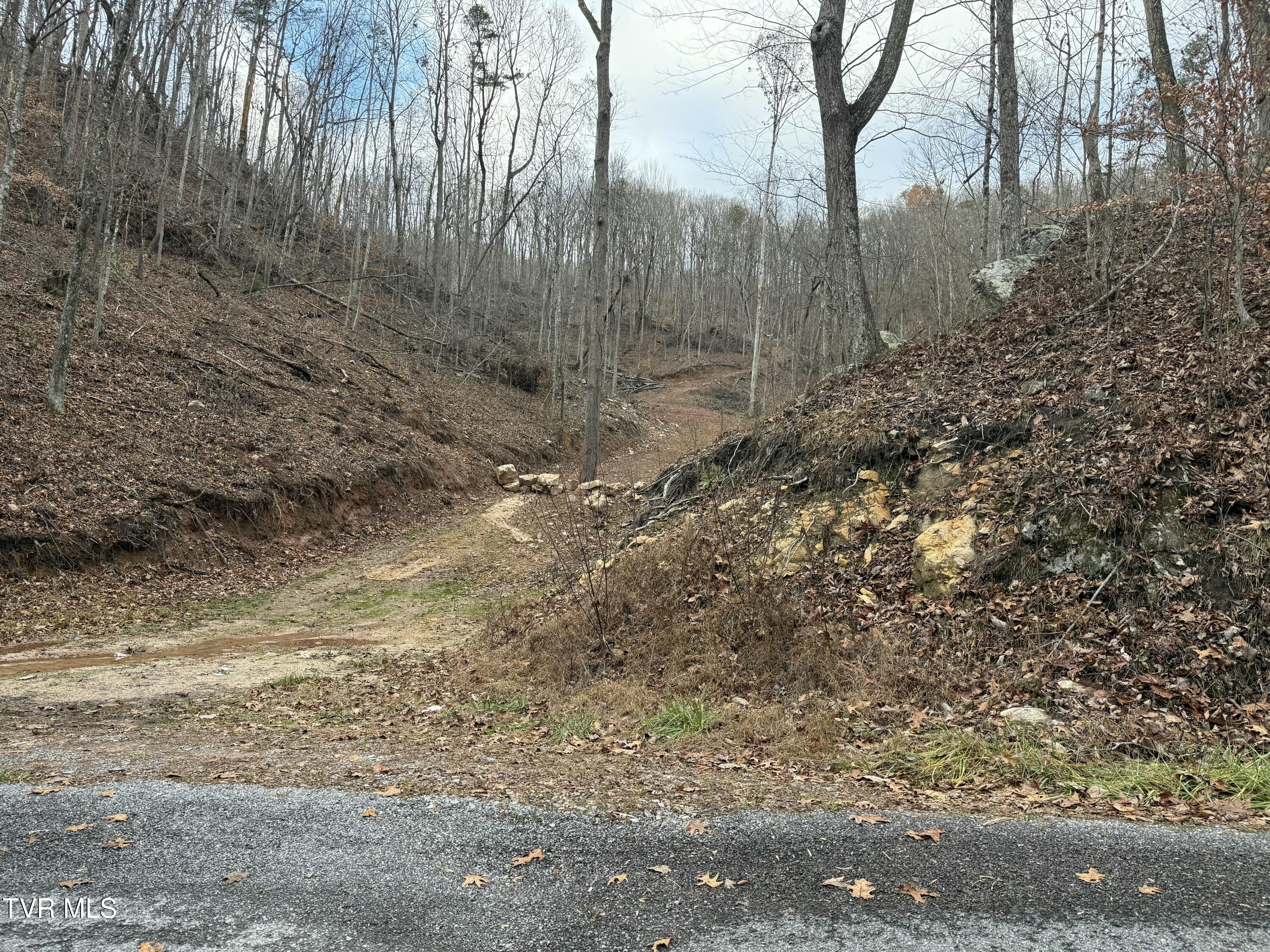 Tbd War Valley Road, Rogersville, Tennessee image 8