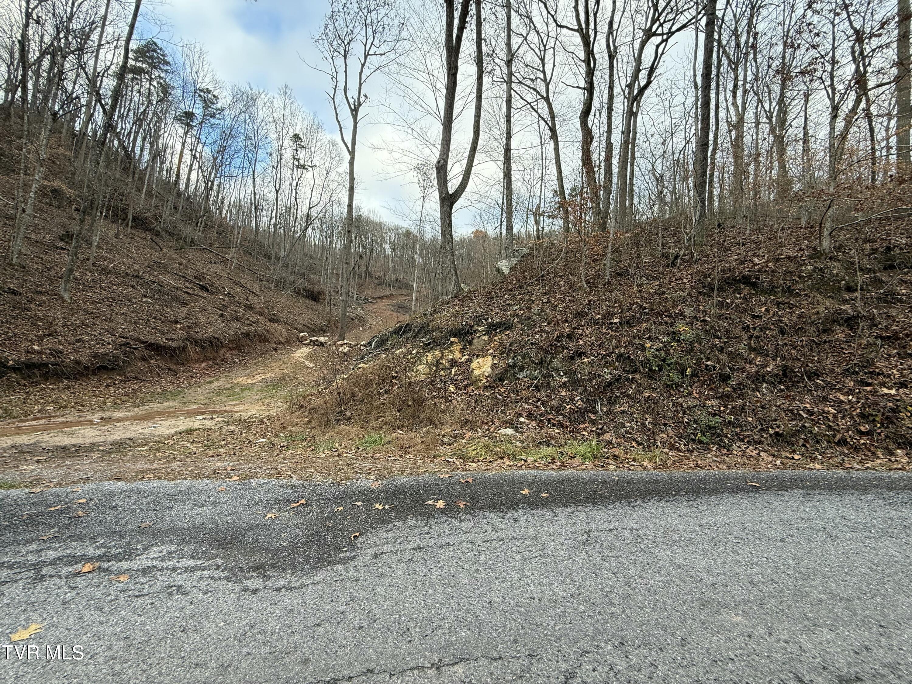 Tbd War Valley Road, Rogersville, Tennessee image 9
