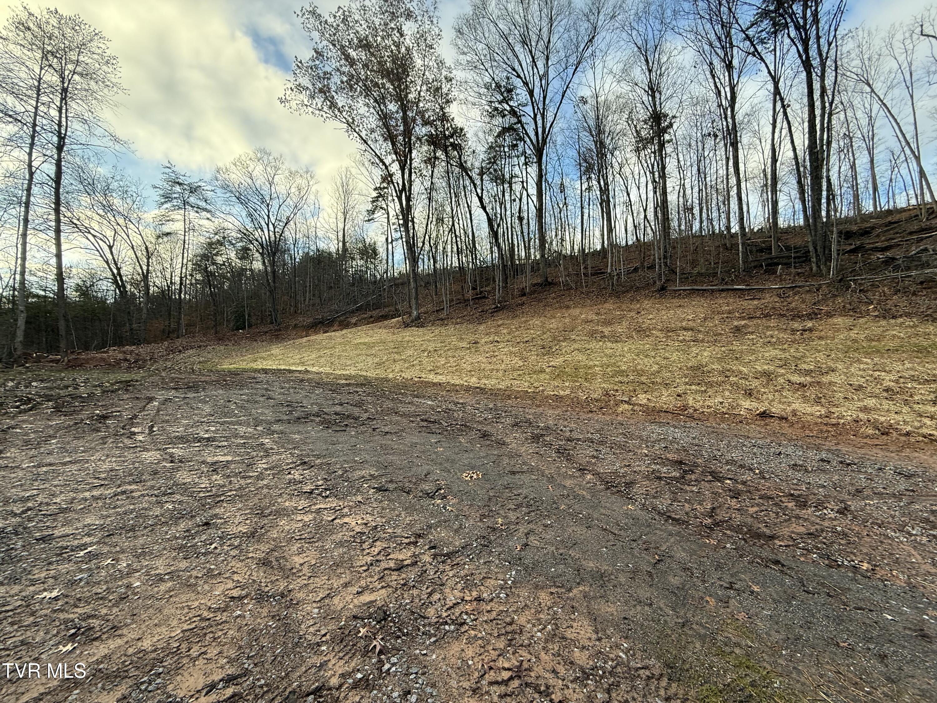 Tbd War Valley Road, Rogersville, Tennessee image 14
