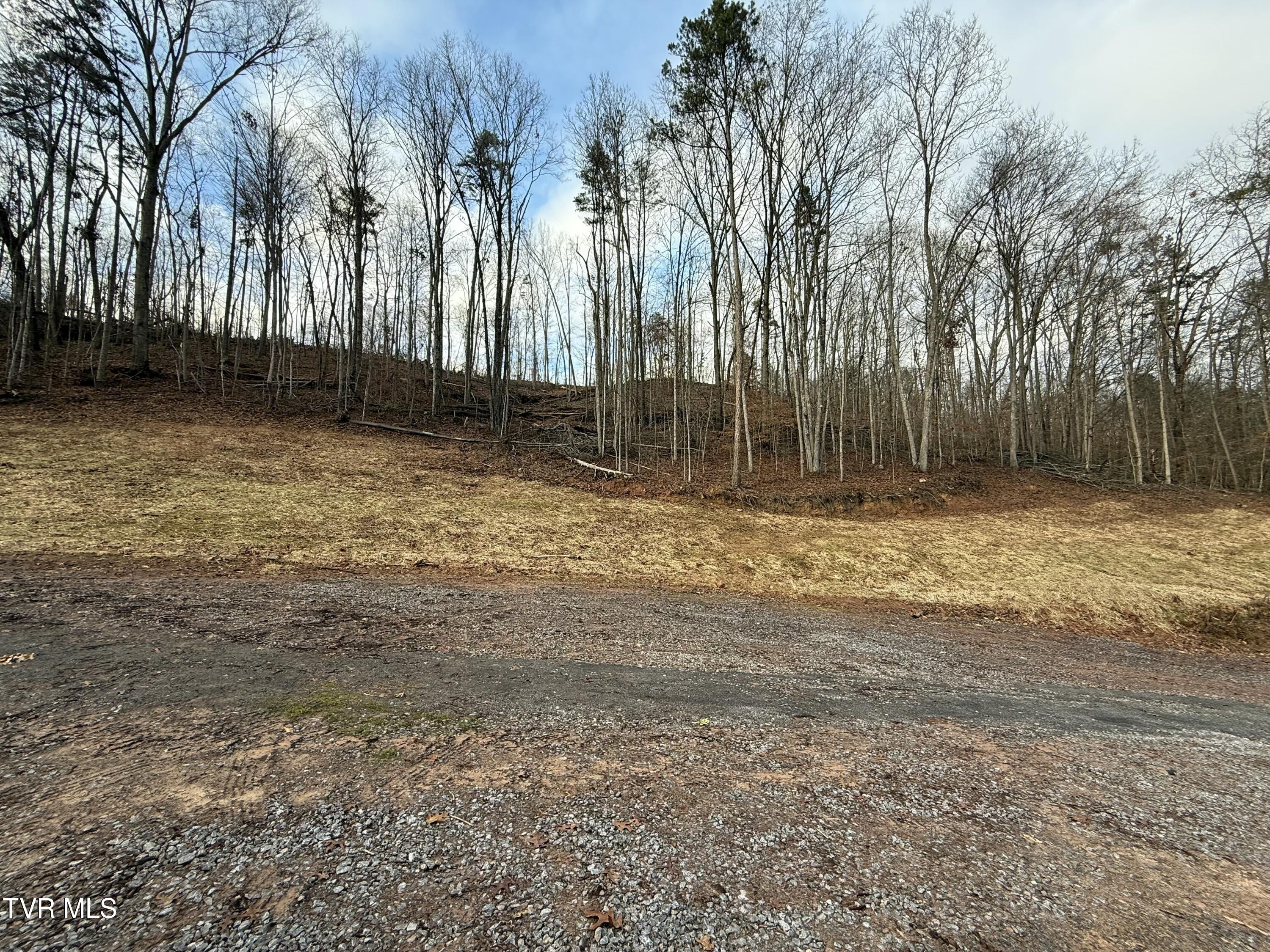 Tbd War Valley Road, Rogersville, Tennessee image 12