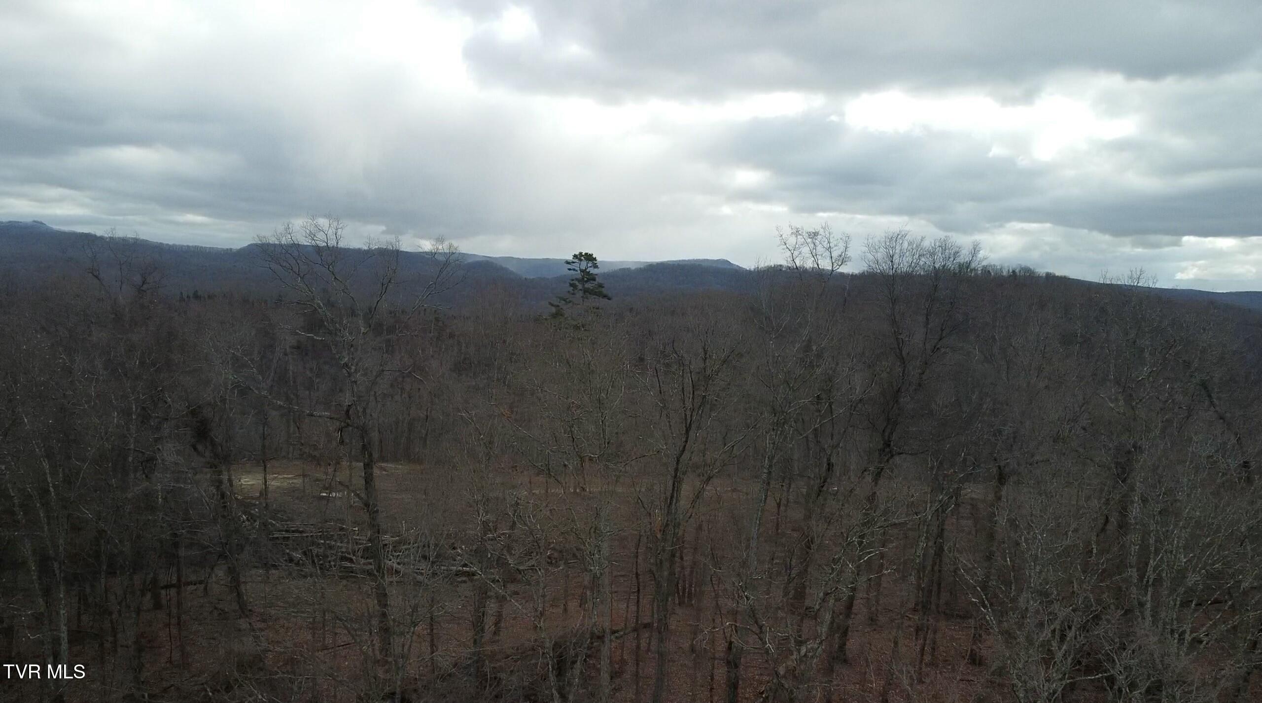 Tbd War Valley Road, Rogersville, Tennessee image 6
