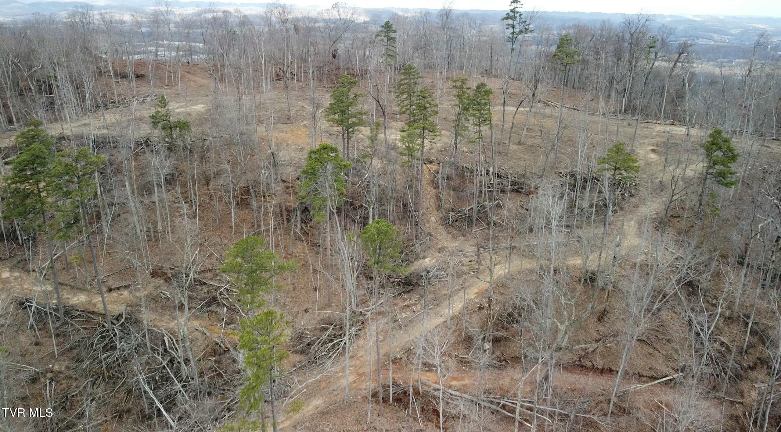 Tbd War Valley Road, Rogersville, Tennessee image 2
