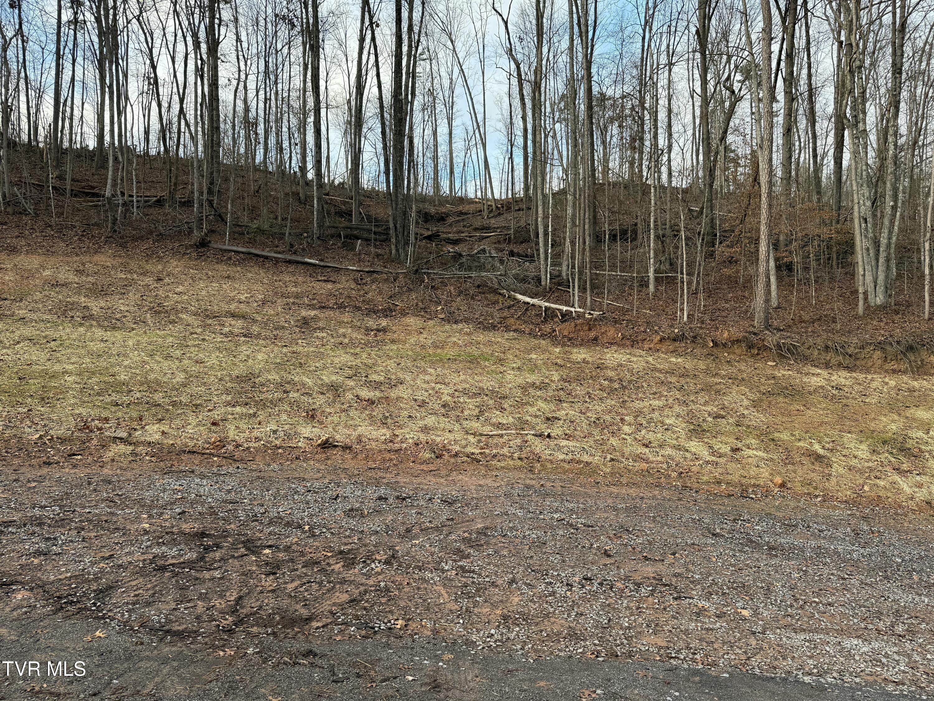 Tbd War Valley Road, Rogersville, Tennessee image 15